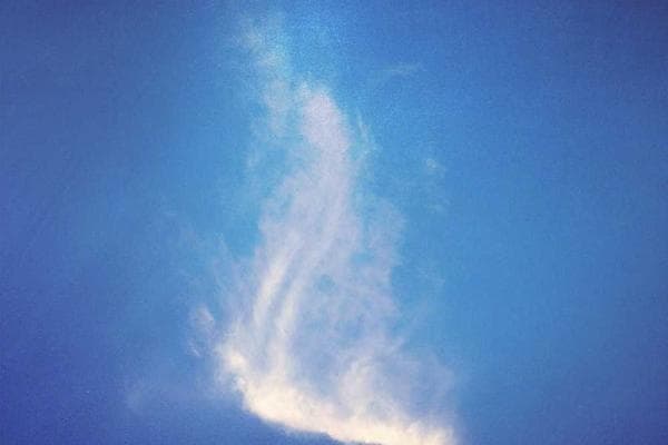 Imagem de ut quo aut ducimus alias